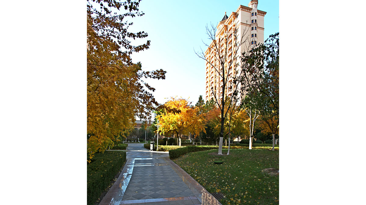 昌宇星河园区景色