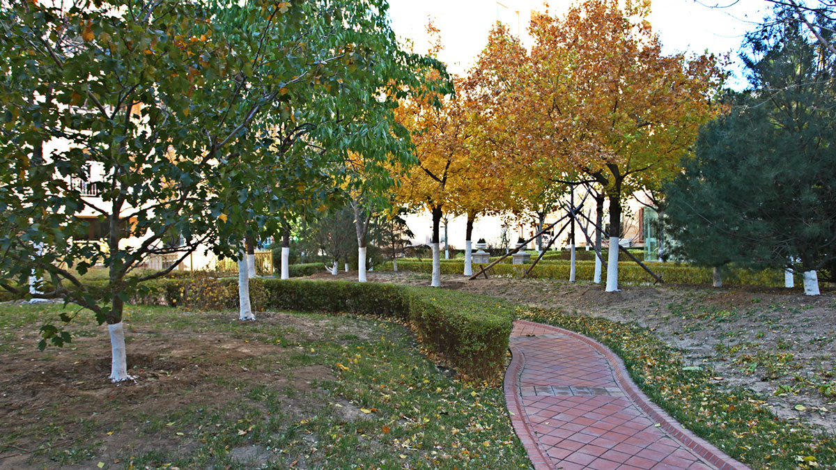 昌宇星河园区景色