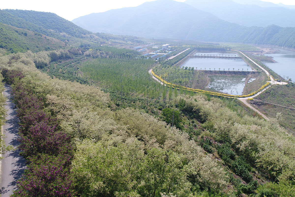 昌宇水墨画院创作中心外景拍摄