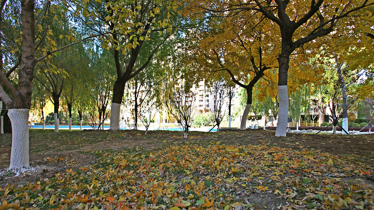 昌宇星河园区景色