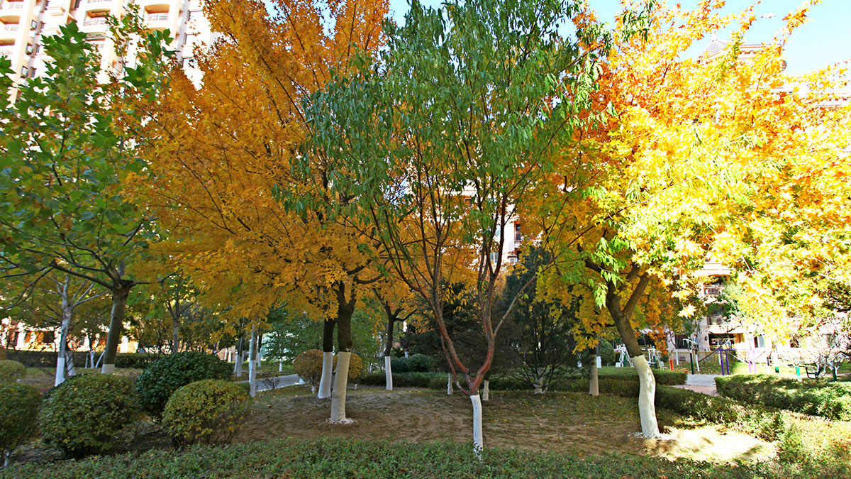 昌宇星河园区景色