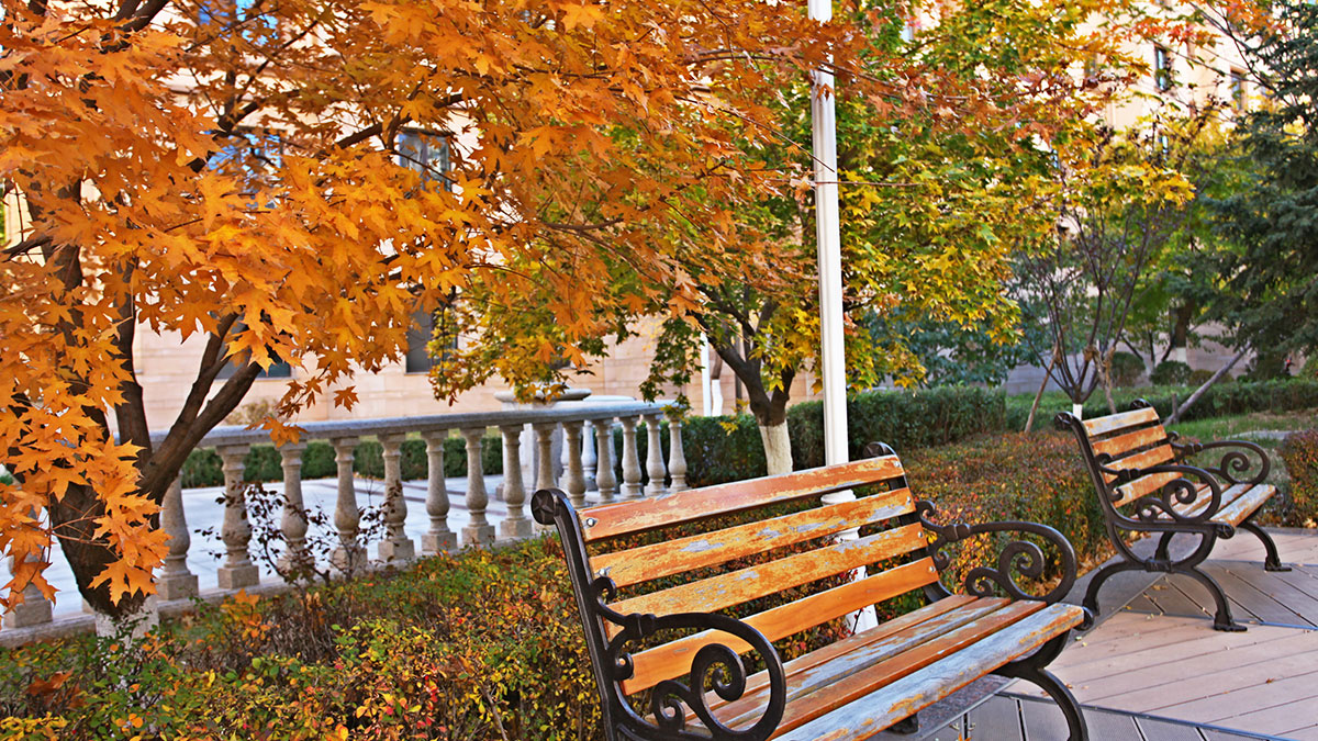 昌宇星河园区景色