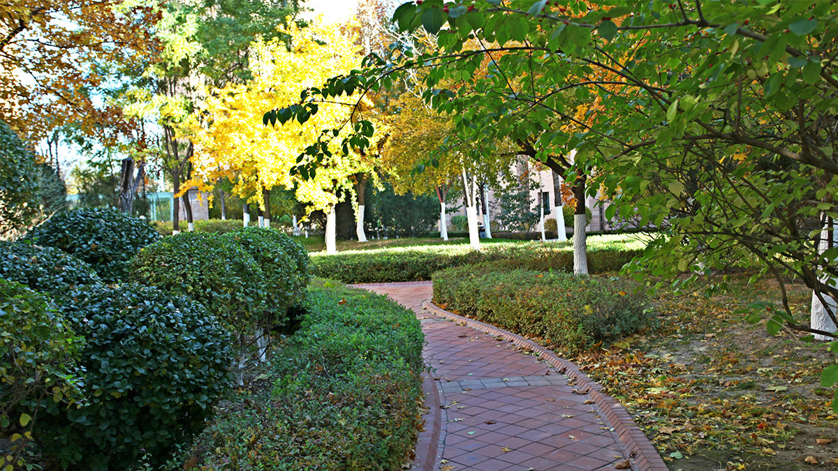 昌宇星河园区景色