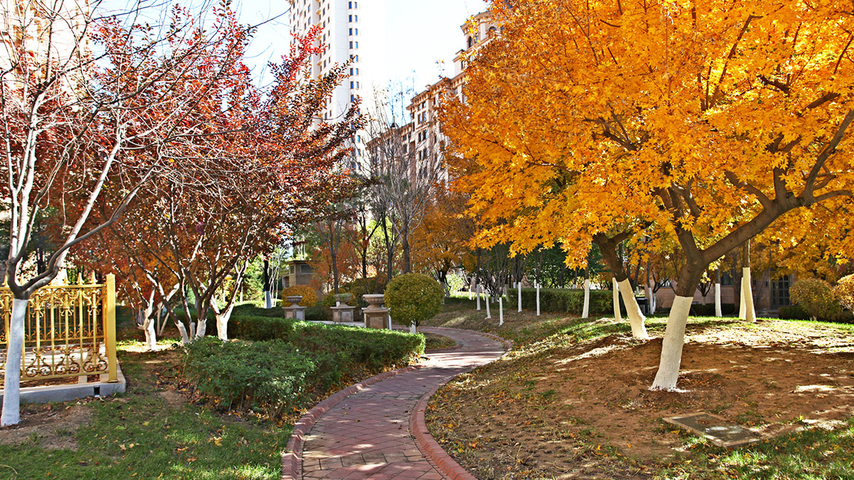 昌宇星河园区景色