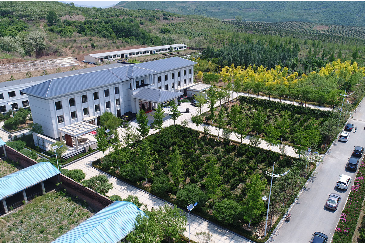 昌宇水墨画院创作中心外景拍摄