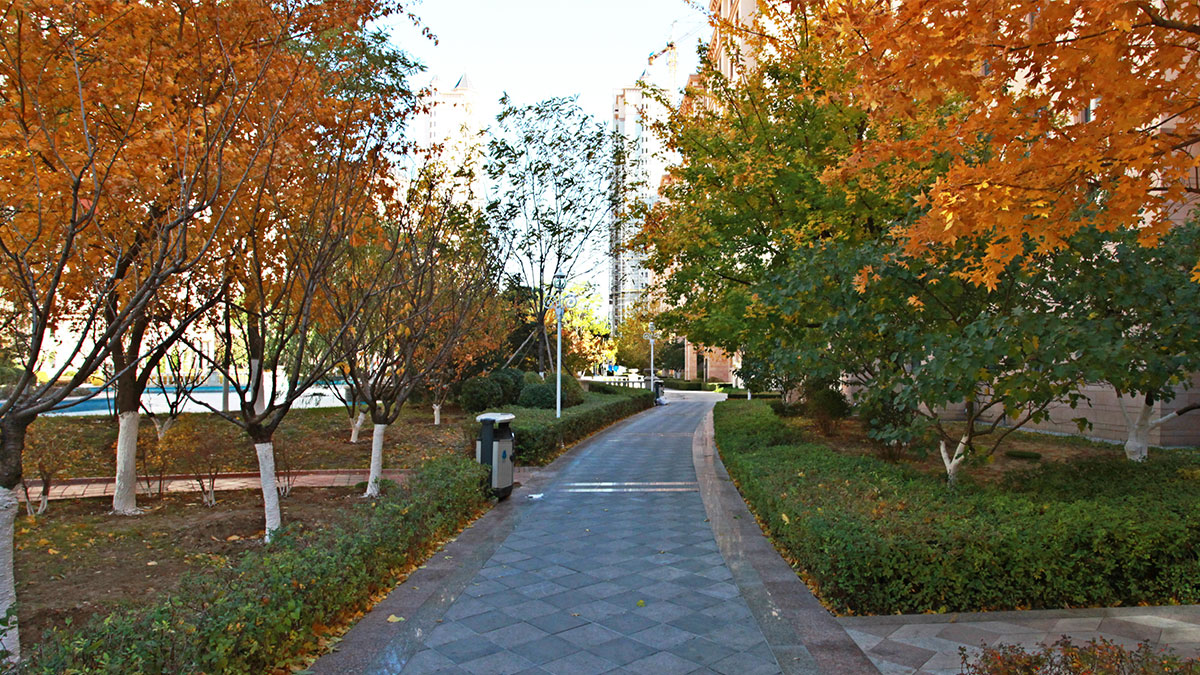 昌宇星河园区景色