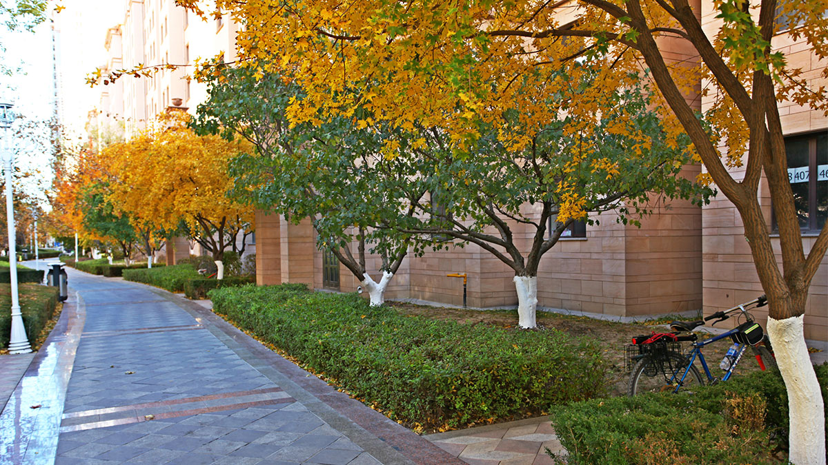 昌宇星河园区景色