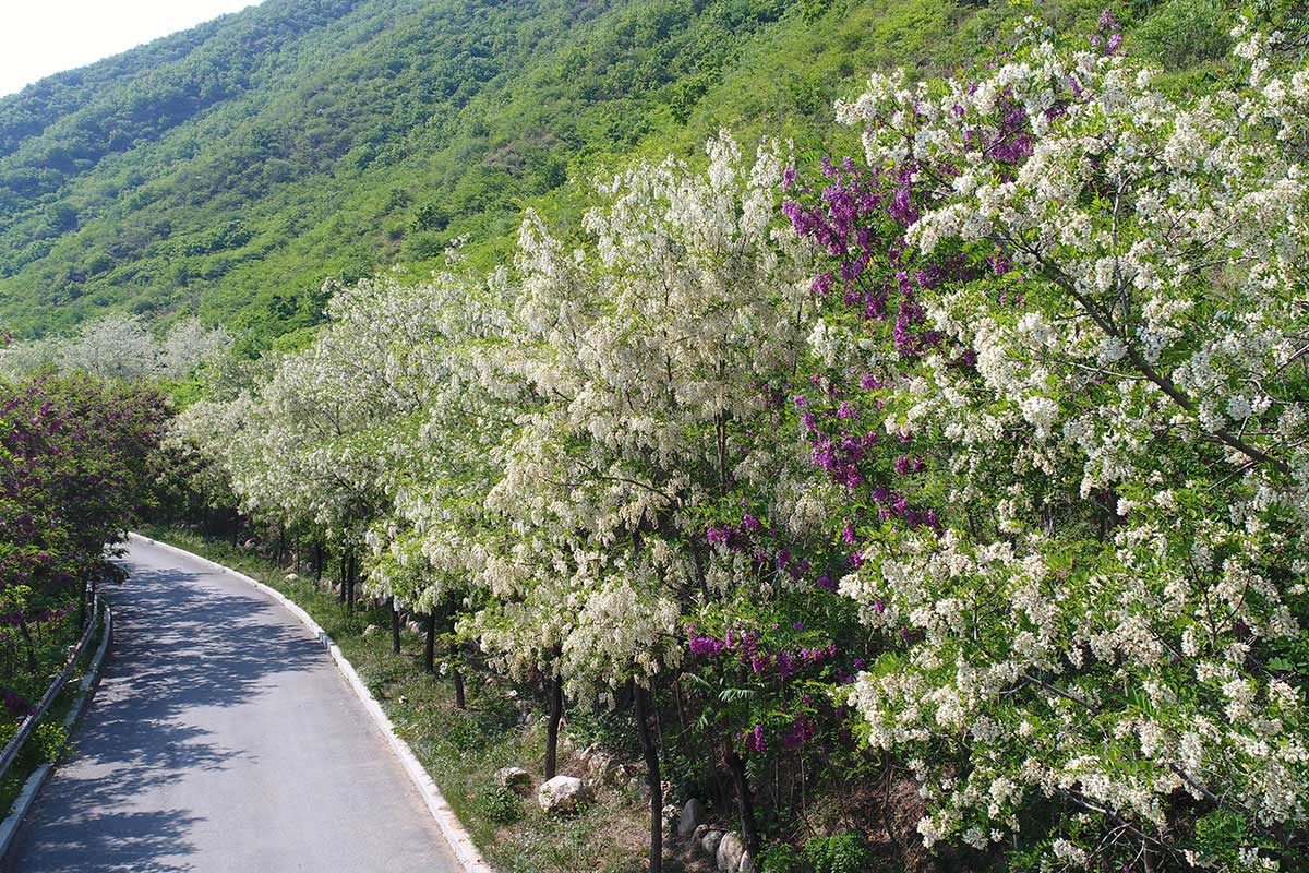 昌宇水墨画院创作中心外景拍摄