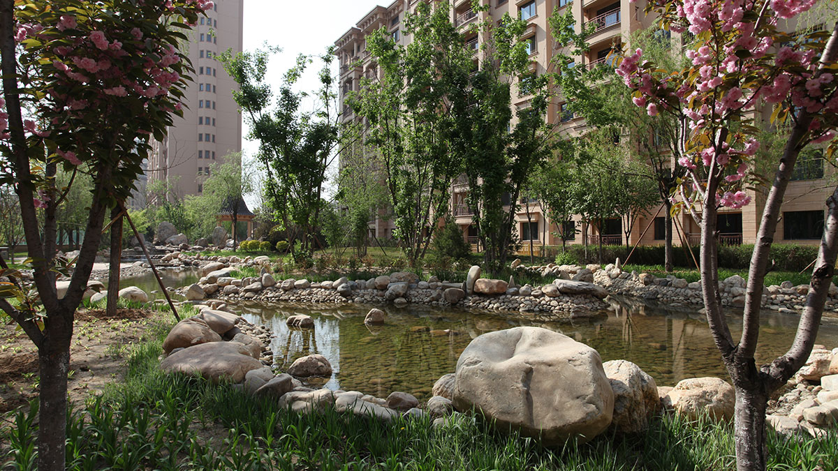 昌宇星河园区景色