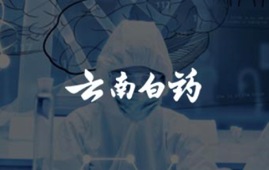 云南白藥
