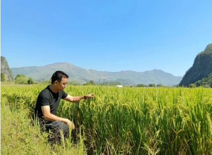 党建帮扶促增收 广东正艺在行动