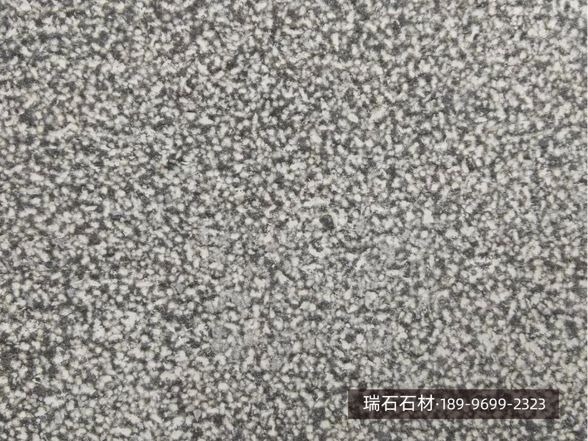 中国黑荔枝面