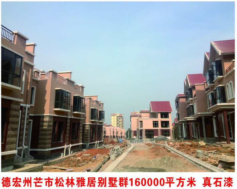 德宏州芒市松林雅居别墅群