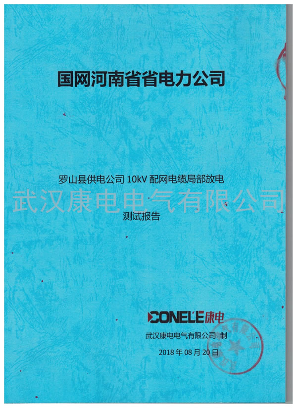 国网河南罗山县供电公司10KV配网电缆局部放电测试报告