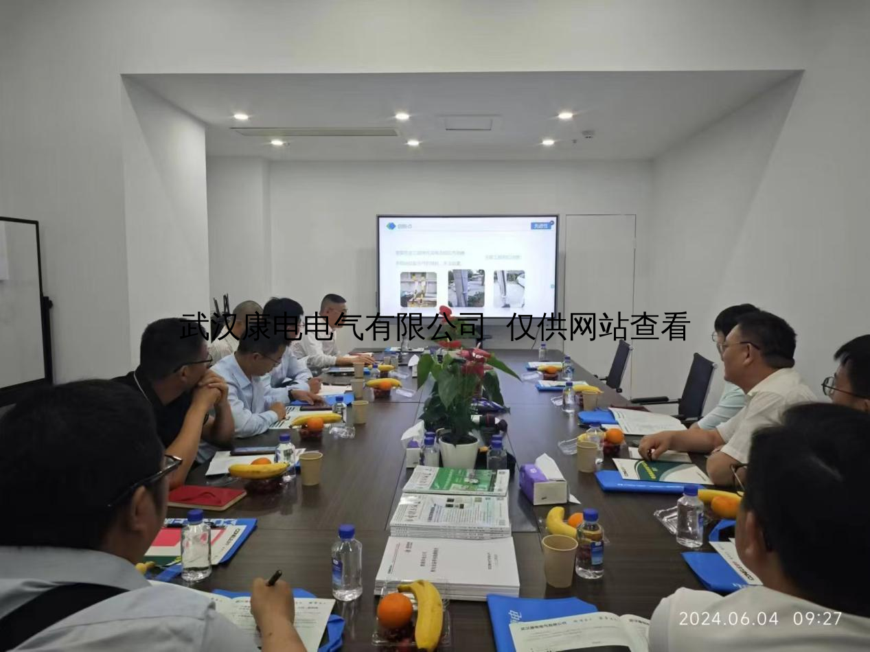 行业领导莅临本公司交流指导