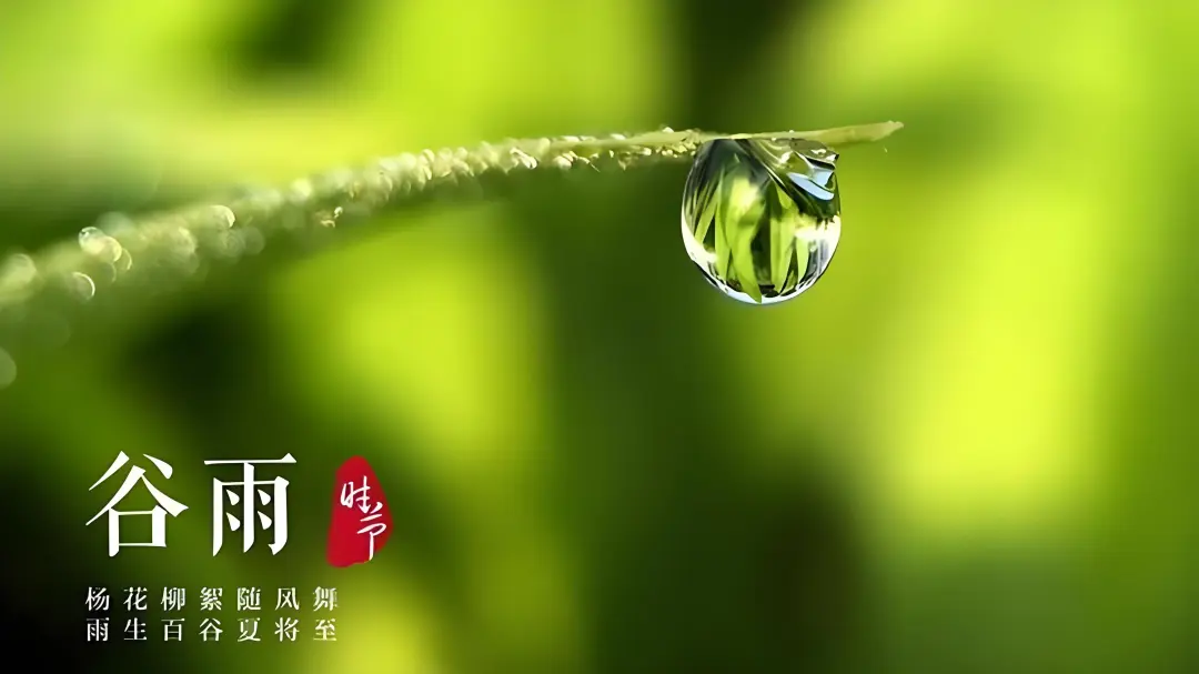 谷雨后癌细胞活跃？肿瘤科医生：做好 3 件事，阻断复发风险