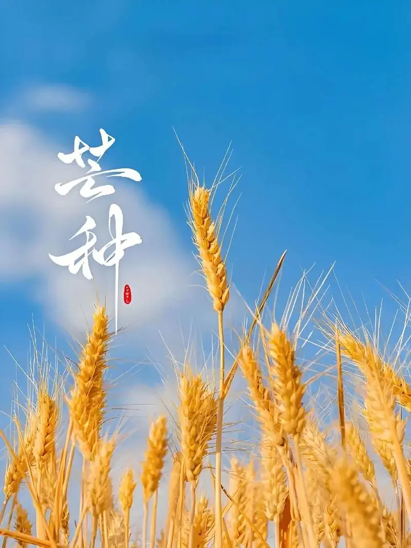 肿瘤患者夏季生死关！芒种做好这5点，生存率提高30%