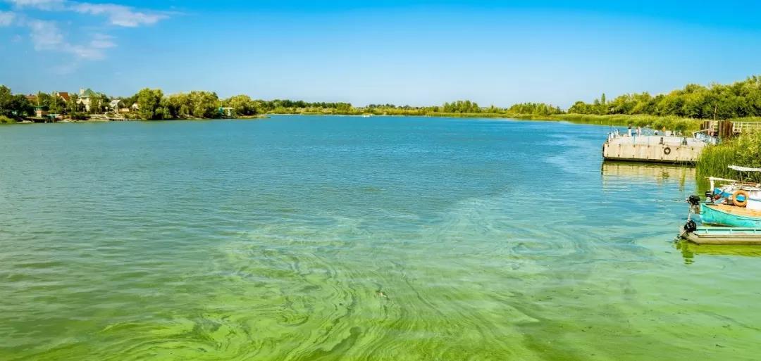 環(huán)境新規(guī)全解讀 |“青山常在，綠水長流”，這樣的水您敢喝么？