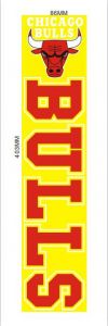 1018B-CHICAGO BULLS