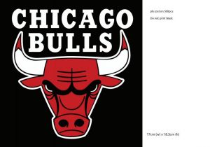 chicago bull for costing