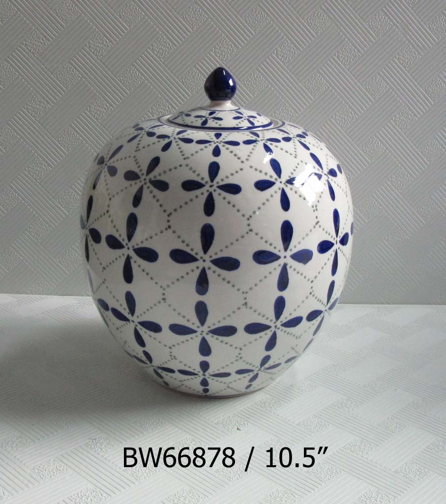 BW66878