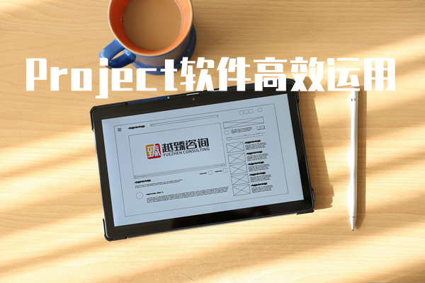 Project项目管理工具实战(通用标准内训)