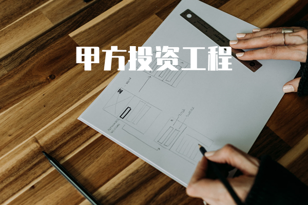 甲方投资工程项目管理