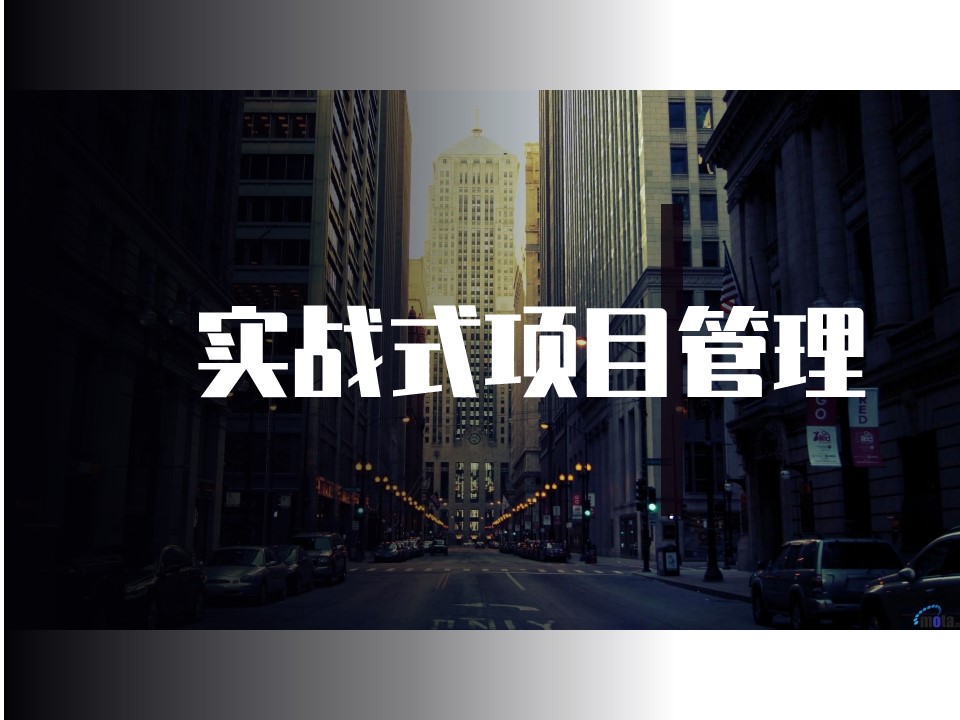 实战式项目管理 流程与方法训练