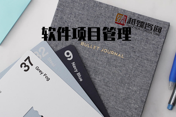 软件项目管理实战工作坊