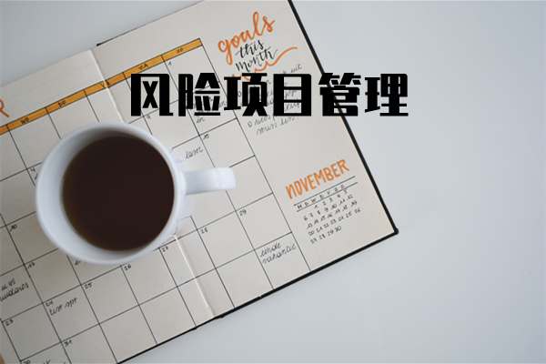 项目风险管理最佳实践（定制版本）