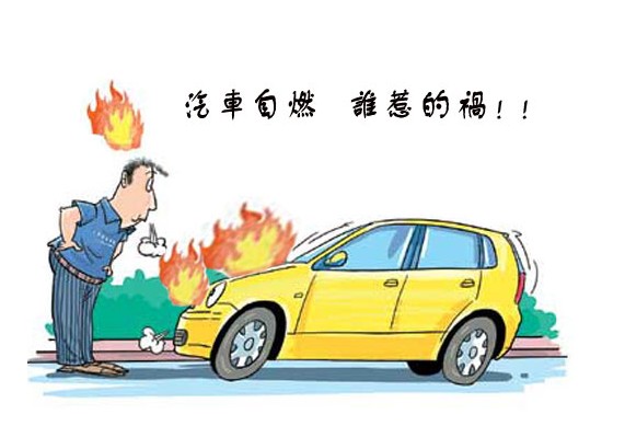 自燃损失险 自燃损失险
