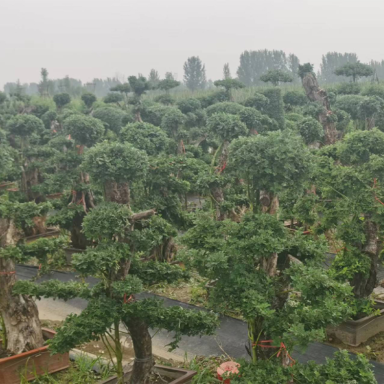 案例10