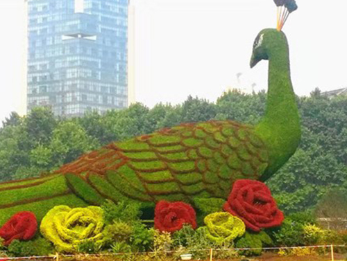 五色草造型