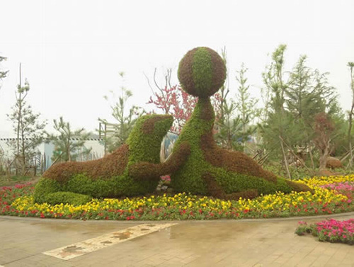 五色草造型
