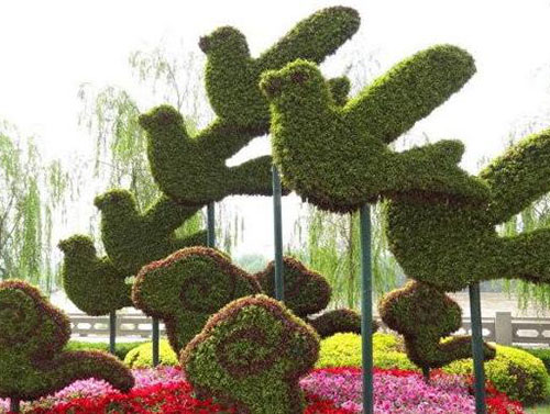 五色草造型