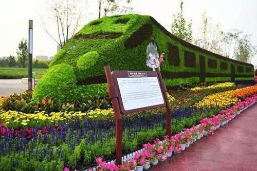 五色草造型