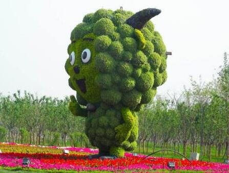 五色草造型