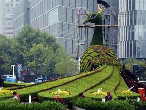 立體花壇