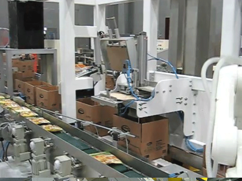 袋装奶粉全自动装盒机