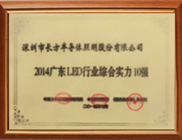 <div style="text-align:center;">
	Top 10 In Guangdong LED<br />
	<div>
		<br />
	</div>
</div>
<div style="text-align:center;">
	<br />
</div>