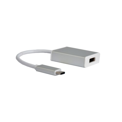 USB 3.1 Type-C to DisplayPort Adapter
