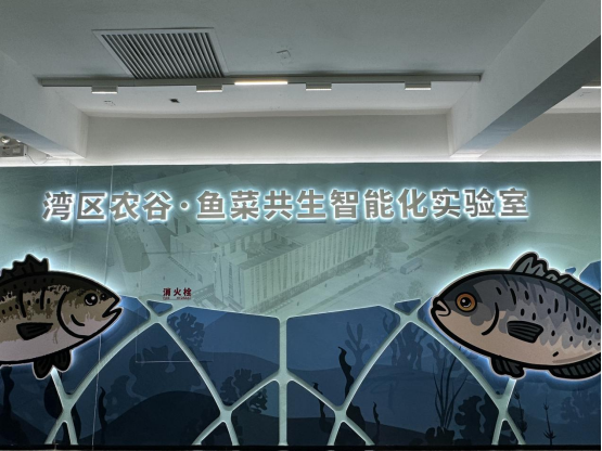 漁雅實(shí)施項(xiàng)目養(yǎng)殖成功了嗎,？