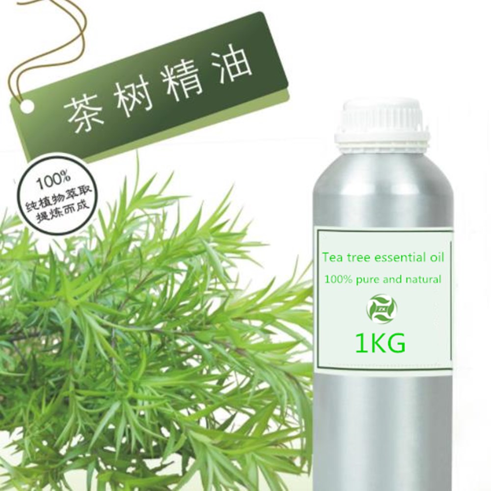 茶樹油
