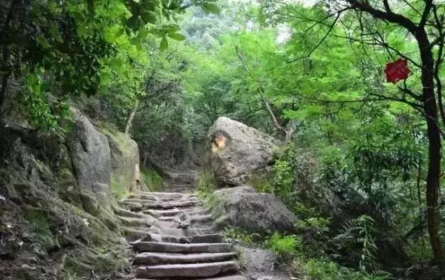 南山农家乐推荐