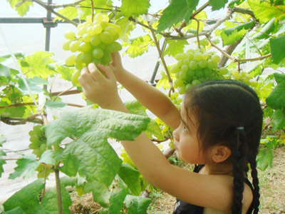 花中溪生态农业园