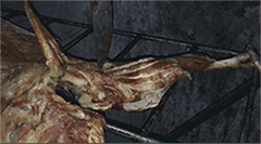 南山农家乐推荐