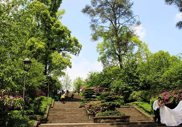 南山农家乐推荐南山植物园