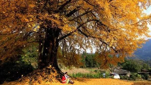 南山农家乐推荐