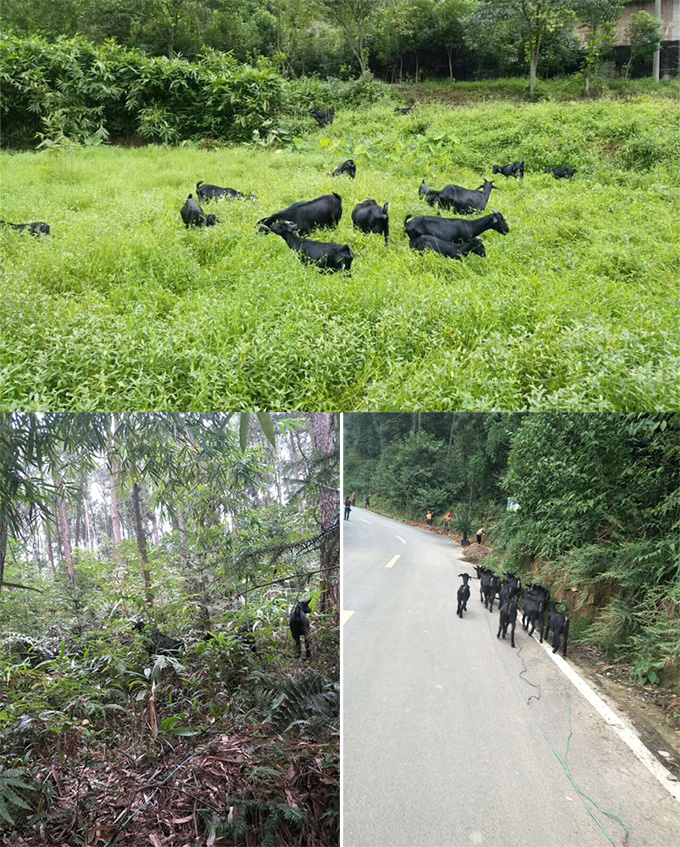 南山农家乐推荐