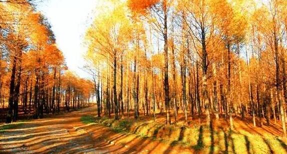 南山农家乐推荐